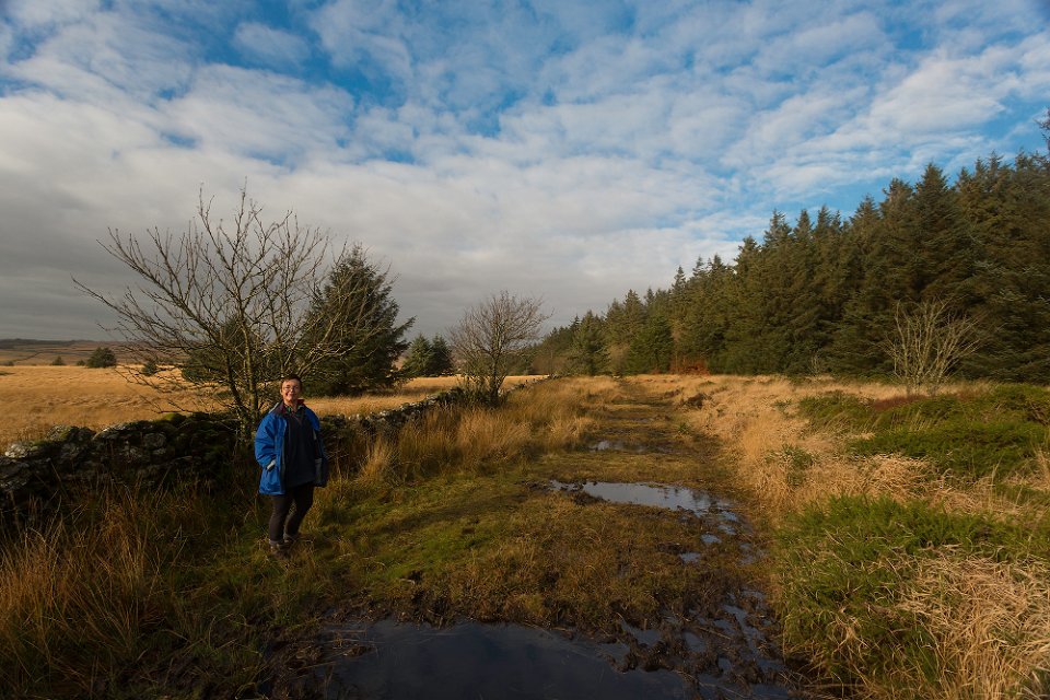 bog  hopping2